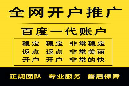 SEM服务公司助力电商增长案例